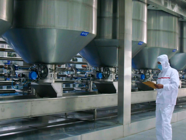 杏仁脫苦車(chē)間