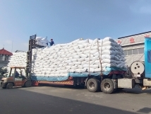 把握機(jī)遇、鉚足干勁、承勢(shì)而上