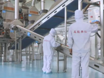 2025年的第一個(gè)月，承德亞歐果仁有限公司在山杏產(chǎn)業(yè)的道路上持續(xù)奮進(jìn)，展現(xiàn)出蓬勃的發(fā)展活力。